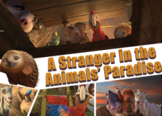 A Stranger in the Animals’ Paradise - Culture