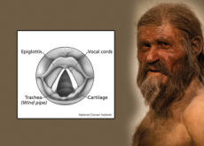 Prehistoric Man Gets a New Voice - Science