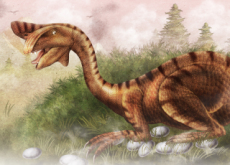 New Dinosaur Unearthed From the Mud - Science