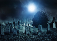 A Thousand-Year-Old Cemetery Uncovered - Science