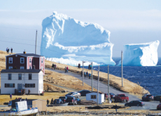 Icebergs Visit Canadian Town - Science