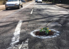Activists Plant Flowers In Potholes - World News
