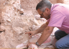 New Homo Sapiens Fossils Discovered in Morocco - Hot Issue