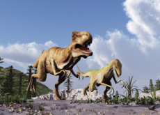 Tyrannosaurus Rex Was Unable to Run - Science