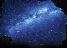 Perseid Meteor Shower Illuminates The Sky - Science