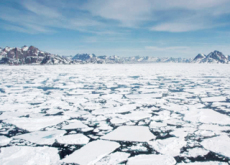The Thickest Ice In The Arctic Breaks Apart - Science