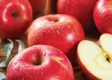 Benefits Of Eating Apples - Life Tips