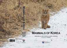 Mammals Of Korea - National News