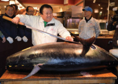 The Year’s First Tuna Auction In Japan - World News