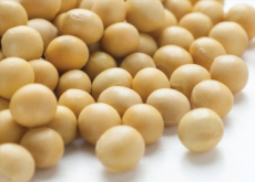 Is Soy Healthy? - Think & Talk
