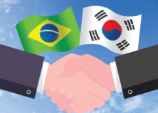 Brazil and Korea Through My Eyes - National News