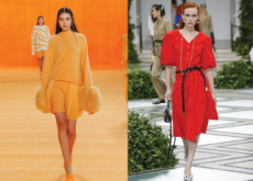 This Year’s Color Trends - Trend