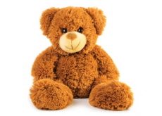 The History of the Teddy Bear - History
