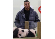 Mbappé Becomes Godfather to Twin Panda Cubs - Entertainment & Sports