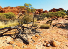 830-million-year-old Organisms Found in Australia - Science
