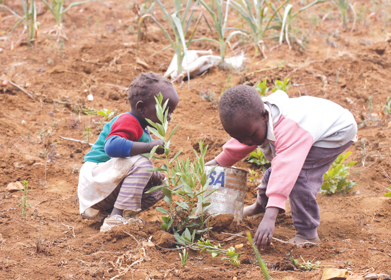 Super El-Nino Leads to Starvation0