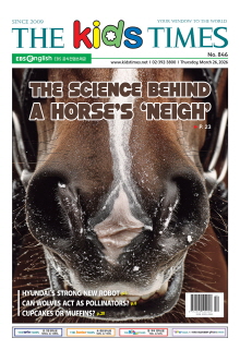 키즈타임즈 846호