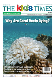 키즈타임즈 847호