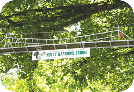 For Squirrels’ Safety0