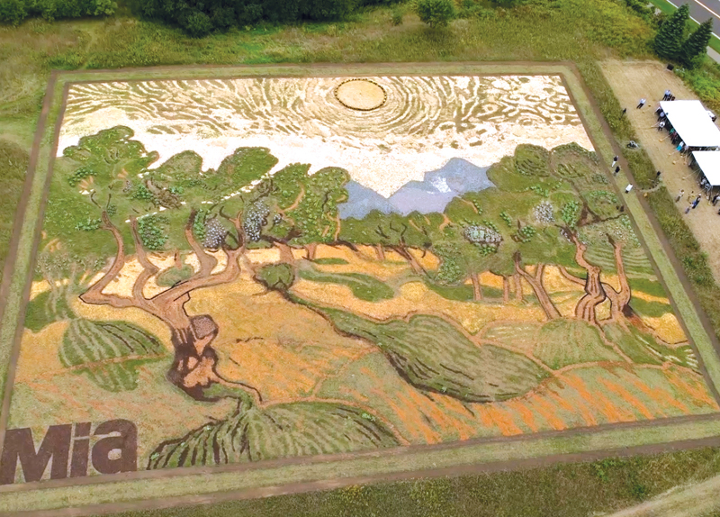 Crop Artist1