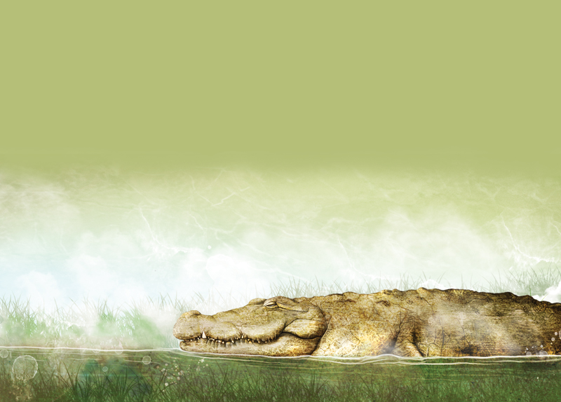 Sleeping on the Lookout0