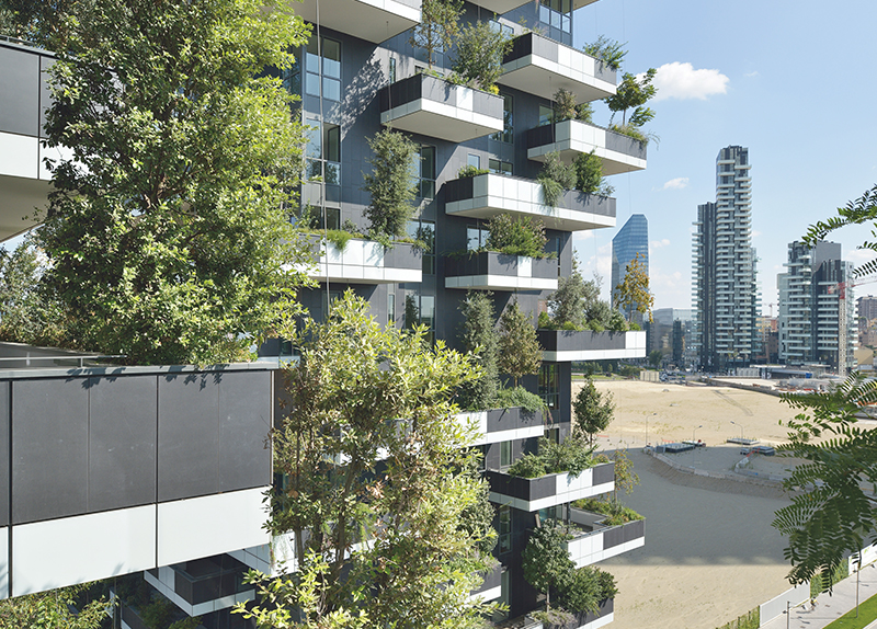 Plant Apartment0