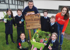 Ireland’s Sow And Grow Campaign - Focus