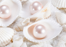 How Do Oysters Make Pearls? - Science