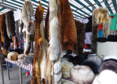 San Francisco Bans Fur - World News