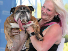 The Queen Of The World’s Ugliest Dog Contest - Aha!