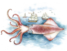 Three Brothers Find A Giant Squid - Focus