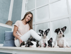 An Apartment Just For Dog Owners - World News