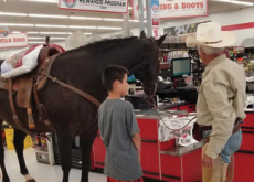 Shopping With A Pet Horse - World News