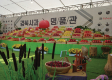 Gyeongbuk Apple Promotion Festival - Let's Go