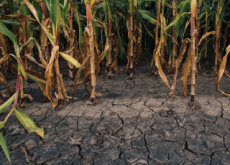 Climate Change May Trigger Drop in Food Production - Science