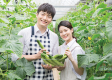 Danyang County Wins at the Korea Master Brand Awards Again - National News Danyang County Wins at the Korea Master Brand Awards Again - National News