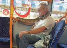 Bus Passenger Uses a Live Snake as a Face Mask - World News