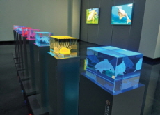 Ancient Organisms Come to Life Through Lights - National News Ancient Organisms Come to Life Through Lights - National News