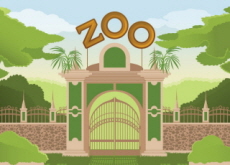 Is the Existence of Zoos Still Appropriate? - Think Together