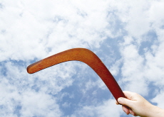 A Boomerang! / Meerkats - Photo News