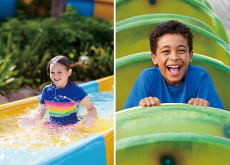 Water Slides or Roller Coasters: Which Is More Thrilling? - Think Together