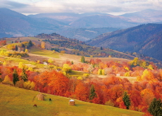 Autumn or Fall? - Focus