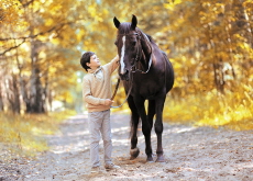 Horses Know When Humans Are Sad or Happy - Science