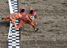 The 2023 T-Rex World Championships / Twin Pandas Celebrate Birthday With Cake - Photo News