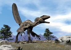 Feathered Dinosaurs’ Surprising Use of Wings - Culture