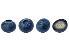 The World’s Heaviest Blueberry - Science