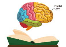 Reading Less Reduces Learning Ability - National News