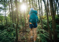 How To Avoid Bugs While Hiking / A Massive Pileup of Plastic Trash - Photo News