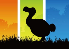 What Happened to the Dodo Birds? - Science