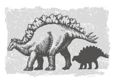 First Stegosaurus Footprints Discovered in South Korea - National News